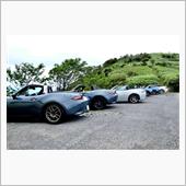 2週間で早速リピート