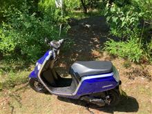 愛車登録からもうすぐ一ヶ月