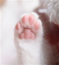 今日は何の日