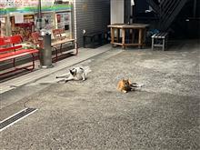 夜でも暑いからな〜