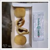 添好連でテイクアウトして