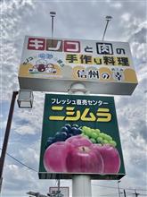 本日の日替りランチ ソースチキンカツ丼　信州の幸 本店（2024.3.10閉店）