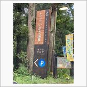 今日は近場で
