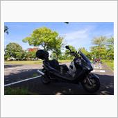 昭和記念公園ひまわり畑（20 ...