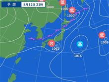 固定種の玉葱に関して・・・。