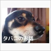 アメスピちゃん…(つд⊂)