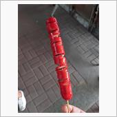 世界を食す（女じゃないよ）