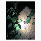 リベンジ