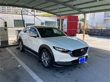 久々の洗車