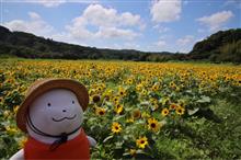 夏の里山