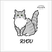 13歳3ヶ月。ありがとう❣️