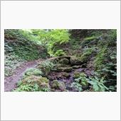 緑を増やそう。