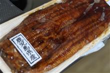 国産うなぎ