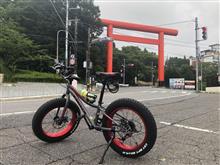早朝サイクリングに行ってきたよ