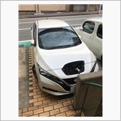 ☆リーフチャレンジ❗️5年振 ...