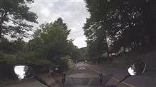 信号のない横断歩道 追突事故について(栃木県 日光/中禅寺湖) 信号のない横断歩道 追突事故について(栃木県 日光/中禅寺湖)