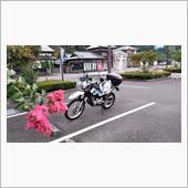 山へGO