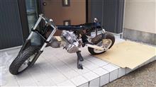 だいぶ形になって来ました。