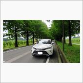 メタセコイヤ並木にて記念撮影