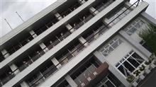 こんどは市役所