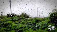 雨降り木曜日の朝
