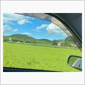 案山子