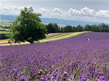 北海道旅行　5日目(2022年7月)最終日