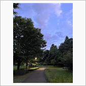 久し振りの公園ウォーキング