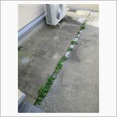 雑草との闘い
