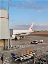 出張先のロンドンでコロナにかかり、当初予定よりだいぶ遅れて帰国しました