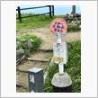 日本一の山を登りました！
