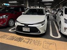 現況です。 現況です。