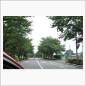 日曜日の朝は．．．なんとかG ...