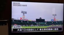 おバカにも程・・・！