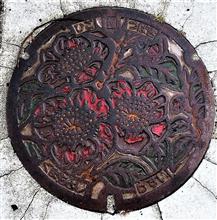 「汚水のマンホール　九州、四国」