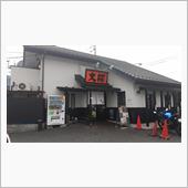 毎度おなじみ大桜です。