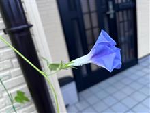 雨音
