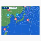 固定種・玉葱の植え付けなど・ ...