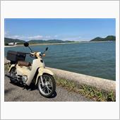 スーパーカブの癒やし効果