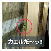 220815-2　スナイパー ...