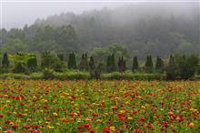 山中湖、忍野に撮影旅行 山中湖、忍野に撮影旅行