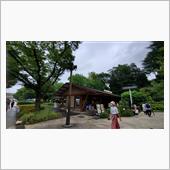 #上野謝恩公園　#エブリワン ...