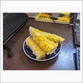 トウモロコシを育ててみた
