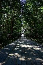 越後一宮弥彦神社