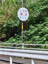 今回も 今回も