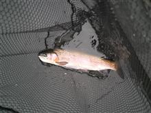 木金の釣り。