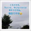 今日も曇りですね。