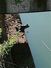 秋の散歩