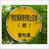 探鳥ツー・・・段戸裏谷原生林 ...