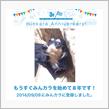 祝・みんカラ歴8年！